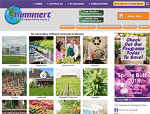Tablet Screenshot of hummert.com